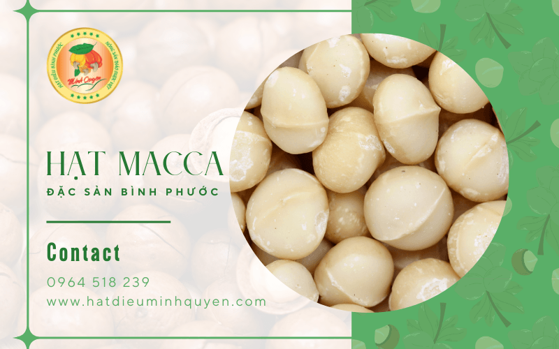 hạt Macca