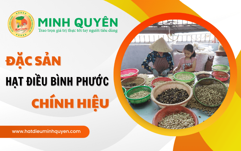 hạt điều