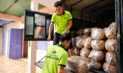 Hạt Điều Minh Quyên Bình phước