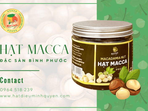 Có nên chọn hạt Macca - đặc sản Bình Phước làm quà tặng người thân?