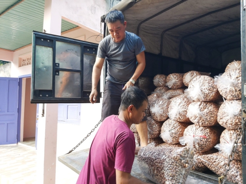 Hạt Điều Minh Quyên Bình phước